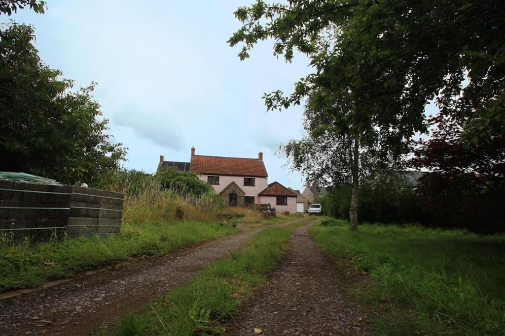 A Nicely Presented Friendly Comfortable Eco Cottage Thornbury  Buitenkant foto
